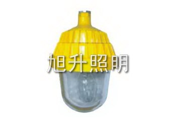 供应CBPC8720防爆平台灯