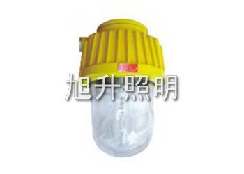 供应CBPC8730防爆平台灯