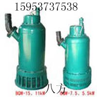 BQS15KW防爆型潜水排污泵