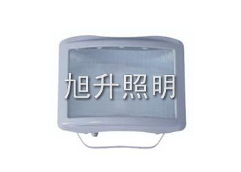 供应CNSC9720防眩通路灯