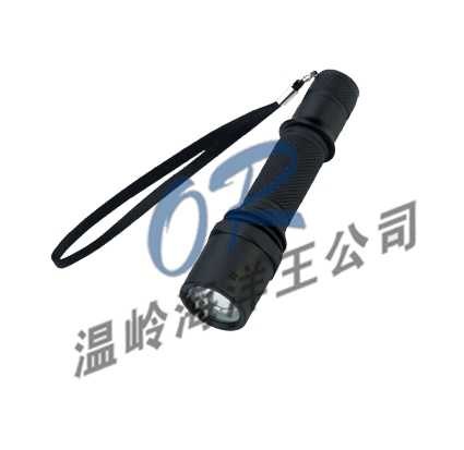 供应OR-JW7300C微型防爆电筒