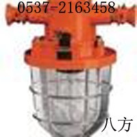 供应DGS60/127B矿用隔爆型白炽灯