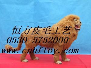 供应照相器材狮子