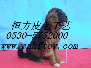 供应大型动物模型