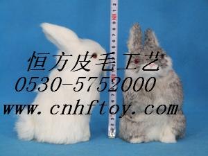 供应真毛兔子动物玩具