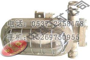 供应DGC35/127隔爆型支架灯