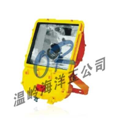 供应OR-BFC8110防爆泛光灯