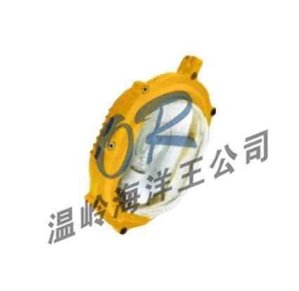 供应OR-BFE8120内场防爆应急灯