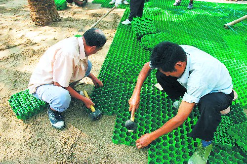 供应陕西塑料植草格、西安塑料植草格，送货上门