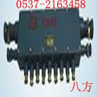 供应JHH-13型本质安全电路用接线盒 