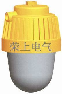 BFC8140 内场防爆灯