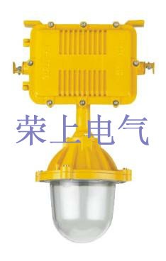 BAD83 防爆无极灯