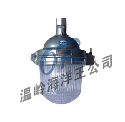 供应OR-NFE9112防眩应急泛光灯