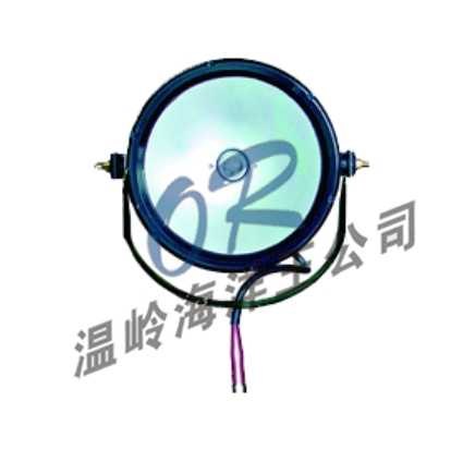 供应OR-DGY100/24防爆泛光工作灯