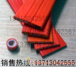 供应清洗机天车扁电缆，行车排线