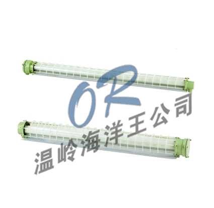 供应OR-BCX6227/BCX6228防爆荧光灯
