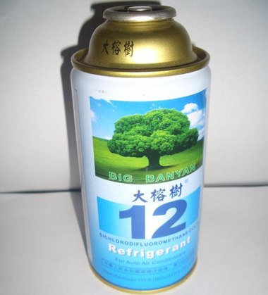 供应银公主雪种