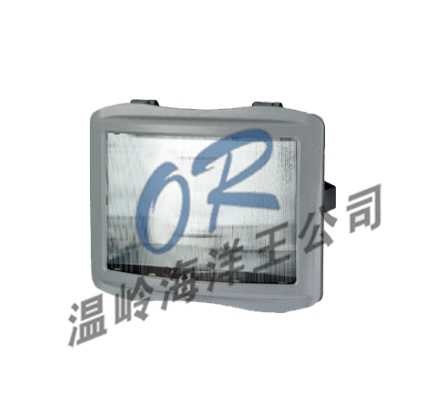 供应OR-NSE9720防眩应急通路灯