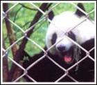 供应松浩专业生产活络网