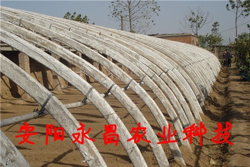 供应新型温室大棚骨架机