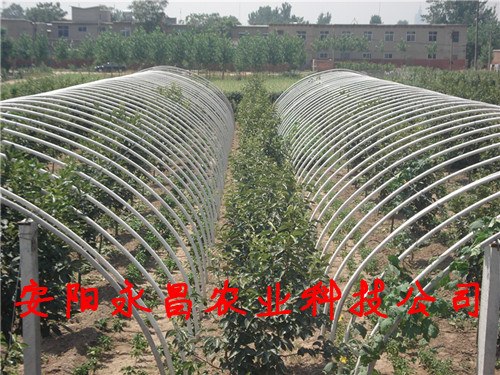 供应新型复合材料蔬菜大棚支架机