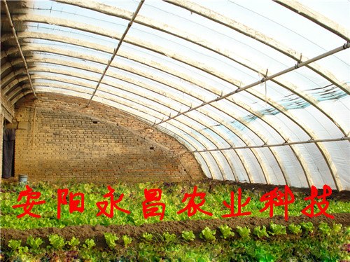 供应新型花卉园艺大棚支架机