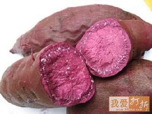 供应紫薯种苗