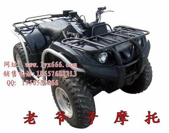 2010雅马哈GRIZZLY 700