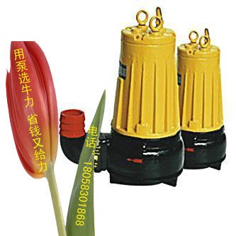 AS型排污潜水泵