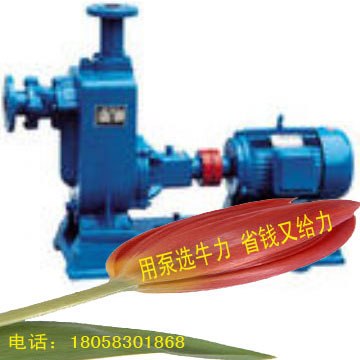 ZW型无堵塞自吸式排污泵