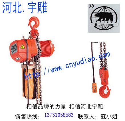 供应黑熊环链电动葫芦 台湾知名大品牌
