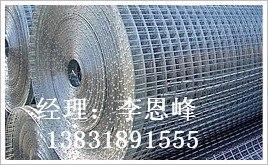供应镀锌钢丝网/镀锌钢丝网产品供应商