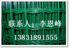供应浸塑钢丝网/河北浸塑电焊网/河北浸塑勾花网