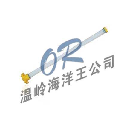 供应BYE8310防爆应急荧光灯