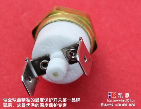 供应突跳式温控器电煮锅