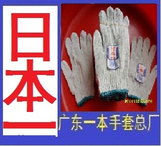 供应900克棉纱手套