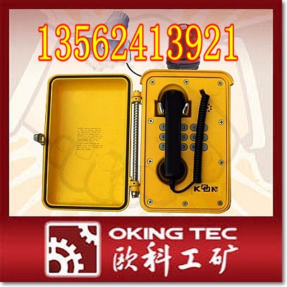 供应KNSP-08-L工业抗噪电话
