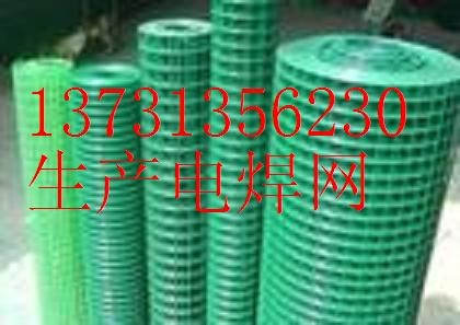 荷兰网