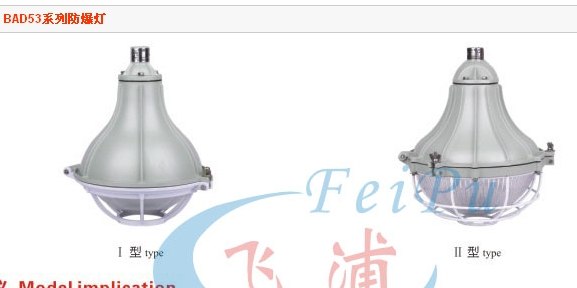供应BAD53系列防爆灯 