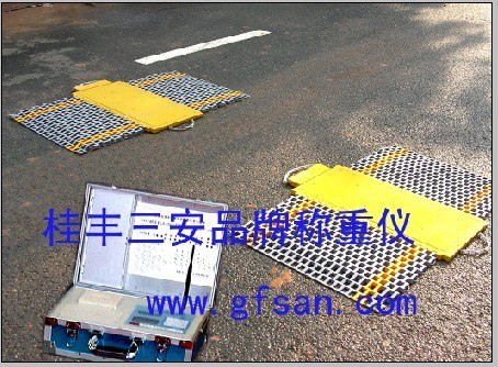 供应便携式汽车称重仪