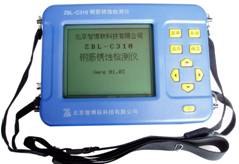供应ZBL-C310钢筋锈蚀检测仪