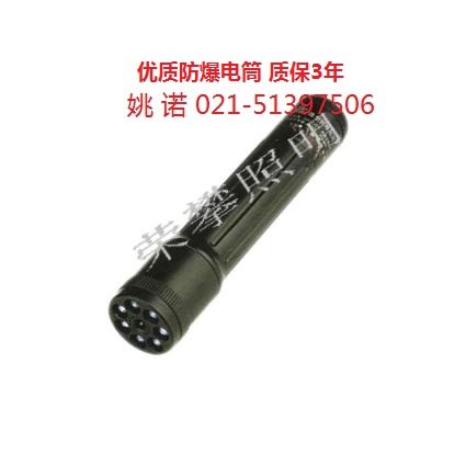 供应JW7300微型防爆电筒、JW7300、JW7300微型防爆电筒