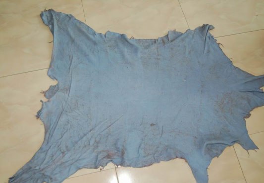 供应蓝湿皮，蓝湿牛羊皮进口清关服务