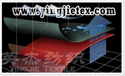 涤纶防水透湿复合面料  尼龙防水透湿复合面料