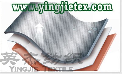 涤纶TPU复合毛巾面料 尼龙TPU复合毛巾面料