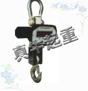 供应天车秤|价格便宜的电子吊钩秤|天车秤价格