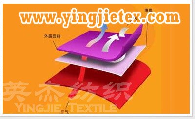 针织复合海绵面料 摇粒绒复合海绵面料
