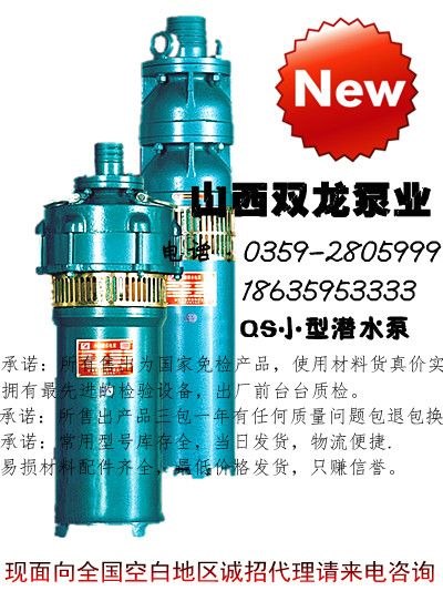 供应QS(R)15-52/2级4KW小型家用泵