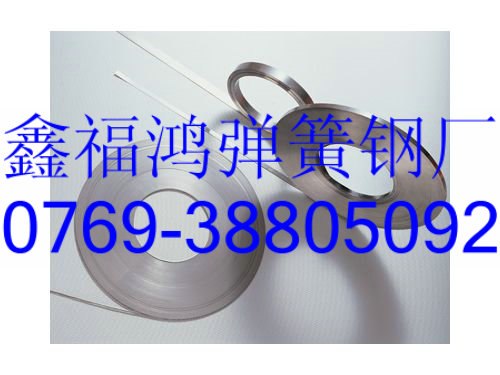 供应进口琴钢丝65MN进口弹簧钢丝，进口弹簧钢带