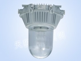 供应NFC9180防眩泛光灯